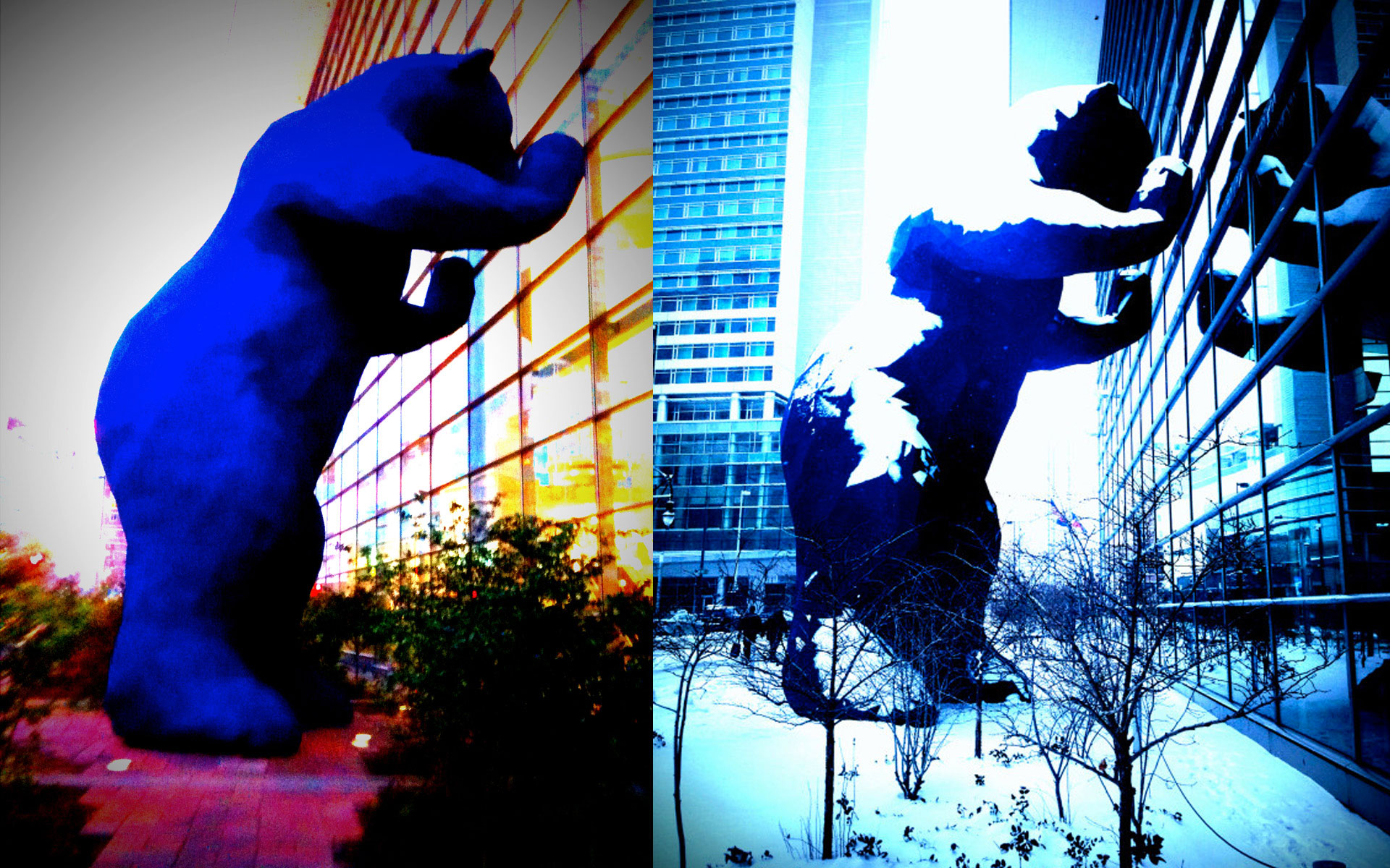 Jasper's Glamor Shot &bull; Labradoodle