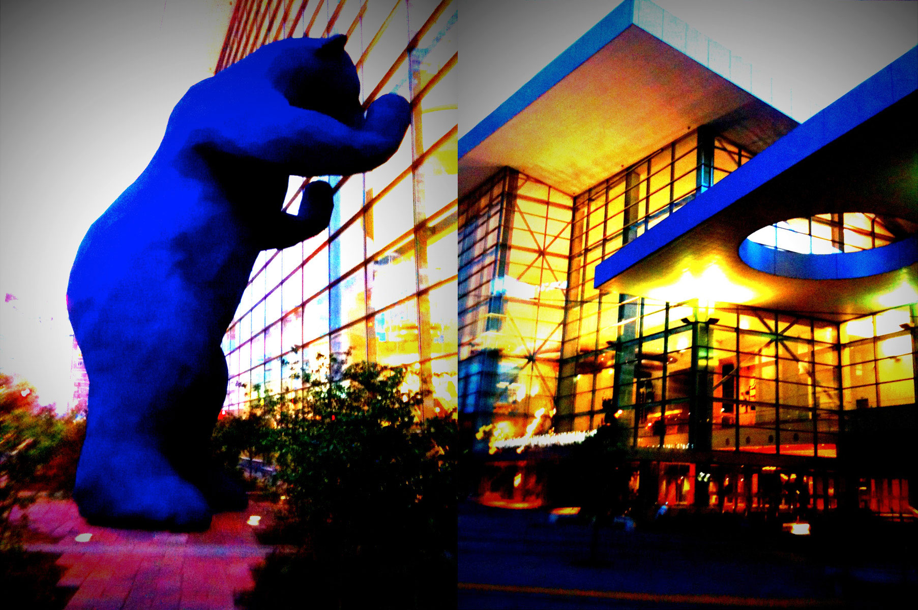 Jasper's Glamor Shot &bull; Labradoodle