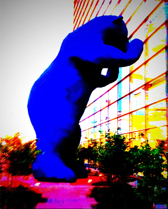 Denver Bear